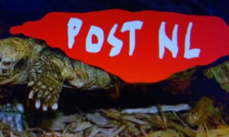 Schildpad geduchte concurrent PostNL