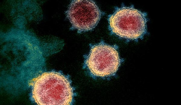 RIVM meldt dag totaal van 3226 nieuwe besmettingen, waarvan 6 in Vlaardingen
